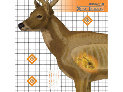 Paper Shooting Targets