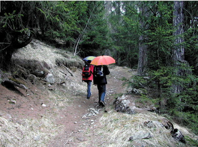 EuroSchirm light trek automatic TrekMate υπερελαφρύ ταξιδιωτικό ομπρέλα, μαύρο