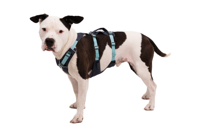 Ruffwear Flagline Σαμάρι, Σκούρο Γκρι