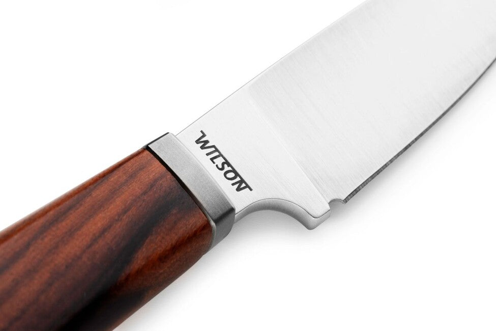 Lionsteel WILLY WL1 Μαχαίρι με Σταθερή Λάμα και Λαβή από Ξύλο Santos