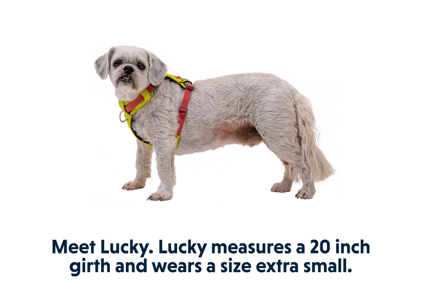 Ruffwear Hi & Light Σαμαράκι, lichen green