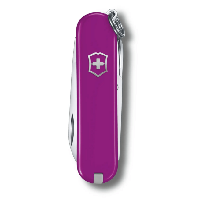 Victorinox Classic SD Colors Tasty Grape Πολυλειτουργικό Μαχαίρι, Σκούρο Μωβ, 7 Λειτουργίες, Blister