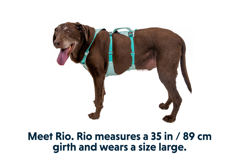 Ruffwear Flagline Περιστροφέας, σάγε πράσινο