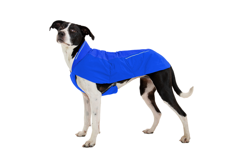 Ruffwear Vert Μπουφάν Σκύλου, blue pool