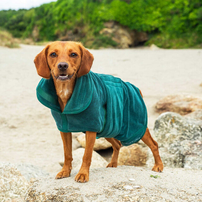 Mountain Paws Dog Robes Μπουρνούζι για Σκύλους Μεγάλο, Πράσινο