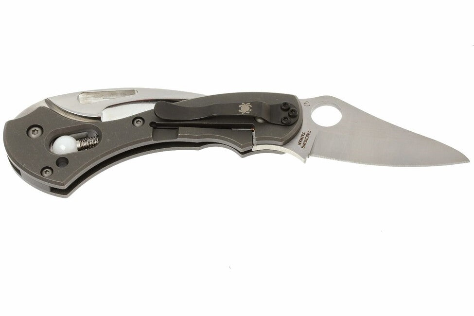 Spyderco Tusk Τσέπης Μαχαίρι 6 cm, Γκρι, Τιτάνιο