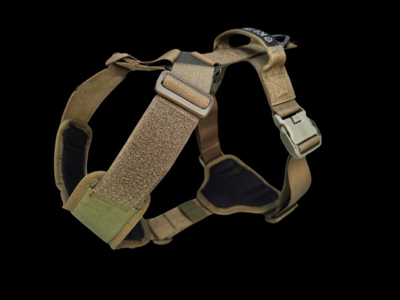 K9 Thorn Charlie Σαμάρι, Λαδί