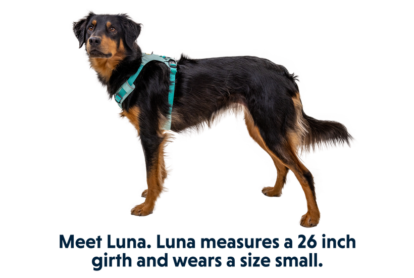 Ruffwear Hi & Light Περιστροφή, σάλβια πράσινο