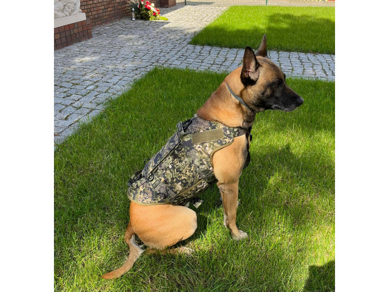 K9 Thorn Ιμάντας Cordura, multicam black, L