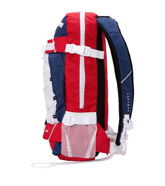 Forvert Ice Louis σακίδιο πλάτης 20L, multicolour XVIII