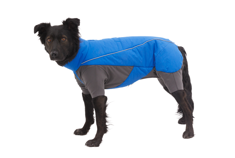 Ruffwear Vert Φόρμα για Σκύλο, Blue Pool