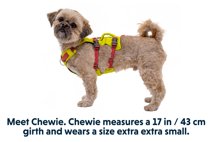 Ruffwear Flagline Σαμαράκι, lichen green