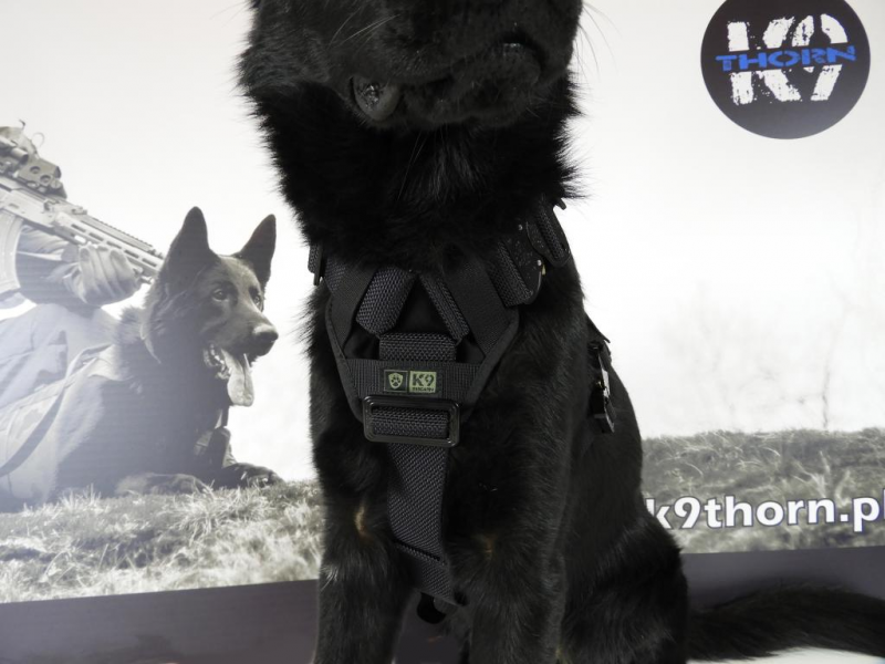 K9 Thorn Delta σαμάρι