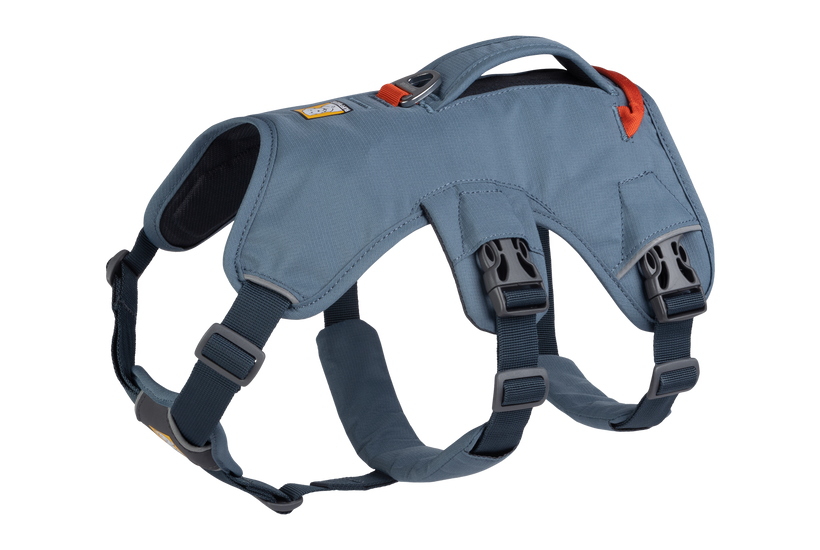 Ruffwear Web Master Ζώνη σώματος, State blue