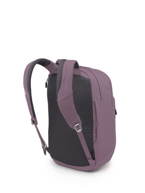 OSPREY ARCANE XL σακίδιο πλάτης αστικό, purple dusk heather