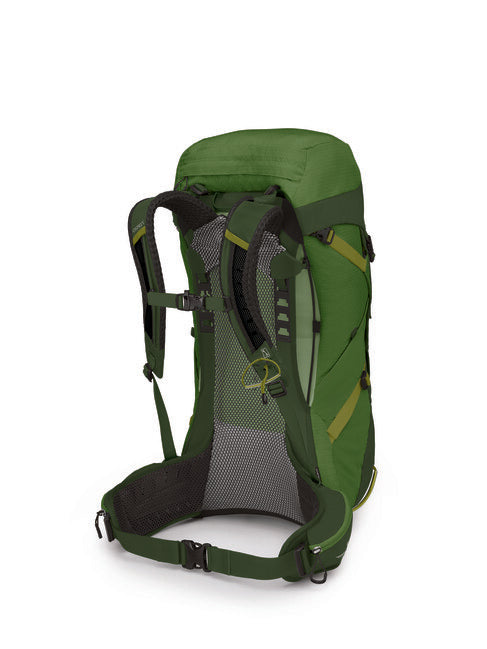 OSPREY STRATOS 36 Σακίδιο Πλάτης Ταξιδιού, Seaweed/Matcha Green