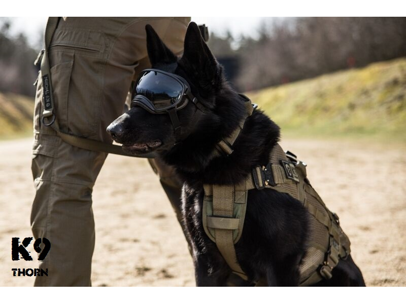 K9 Thorn Ελαφρύ Τακτικό Σαμάρι