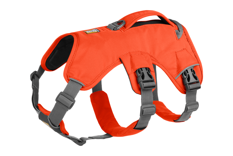 Ruffwear Web Master Φαράς, Πορτοκαλί Φλόγα