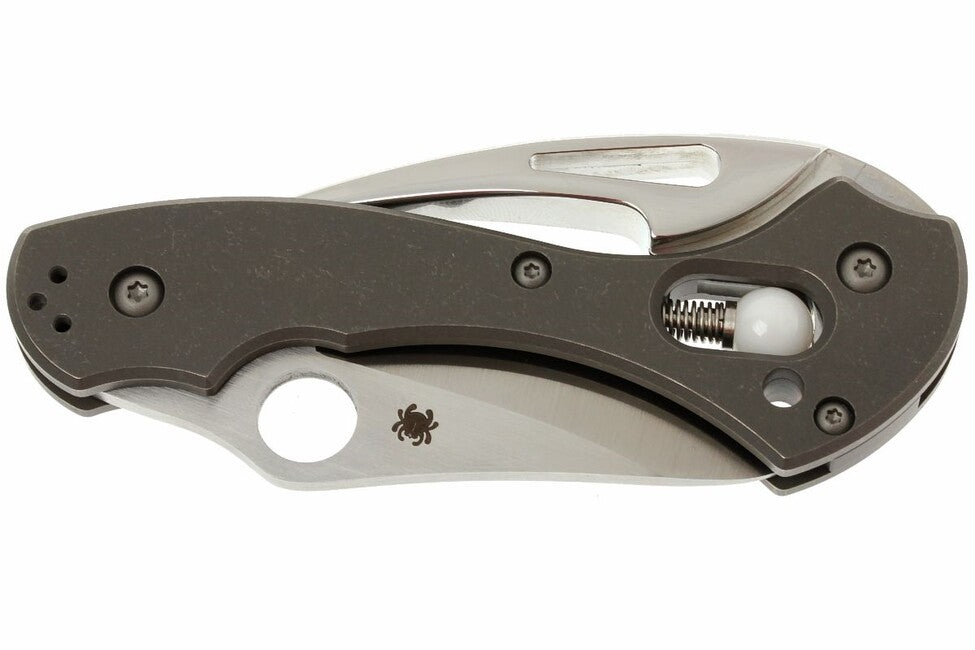 Spyderco Tusk Τσέπης Μαχαίρι 6 cm, Γκρι, Τιτάνιο