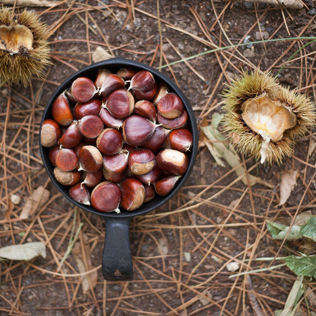 KUPILKA 55 Bowl Μπολ, μαύρο