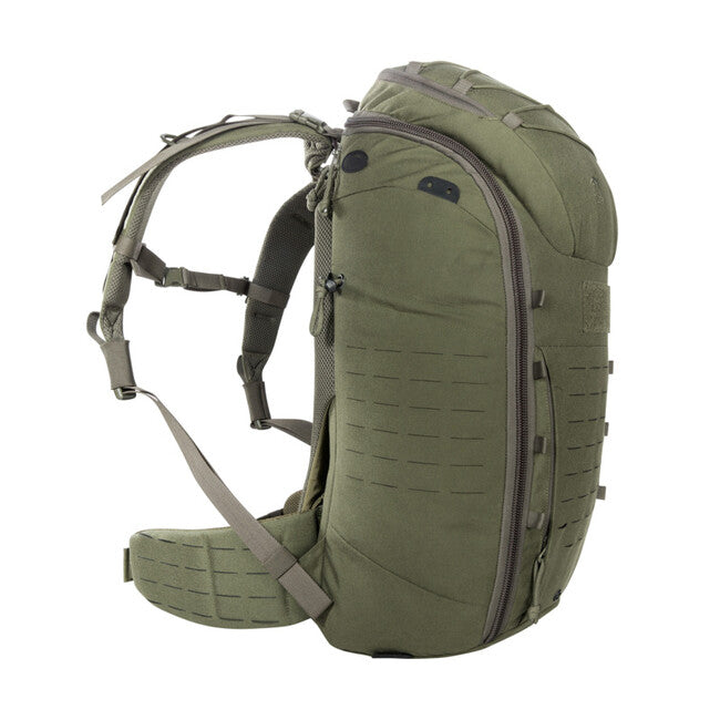 Tasmanian Tiger MOLLE Hip Belt ζώνη μέσης, λαδί