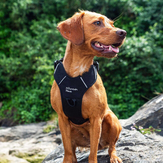 Mountain Paws Dog Harness Διπλωμένο σαμάρι σκύλου μεσαίο, μαύρο