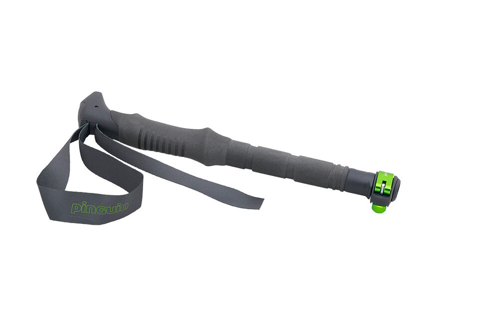 Pinguin Compact FL Σκανδιναβικές Μπατόγες Trekking Foam, Γκρι