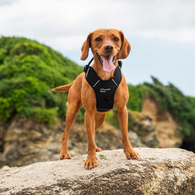 Mountain Paws Dog Harness Διπλωμένο σαμάρι σκύλου μεσαίο, μαύρο