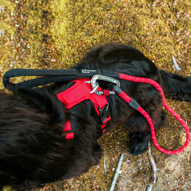 Mountain Paws Σαμάρι Σκύλου με Ενίσχυση, Κόκκινο, Μεγάλο