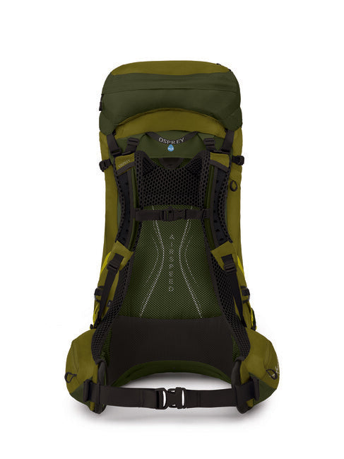 OSPREY ATMOS AG LT 50 σακίδιο πλάτης trekking, scenic valley/green peppercorn