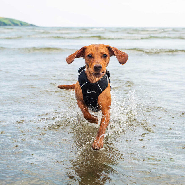 Mountain Paws Dog Harness Διπλωμένο σαμάρι σκύλου μεσαίο, μαύρο
