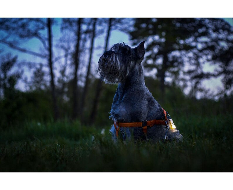 ArmyTek Zippy ES Σετ Φακού LED και Κλειδιών, Γκρι