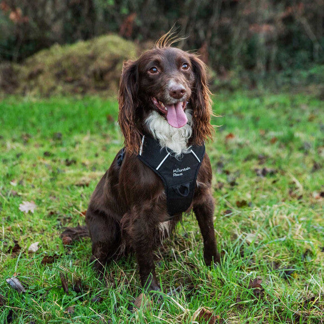 Mountain Paws Dog Harness Διπλωμένο σαμάρι σκύλου μεσαίο, μαύρο