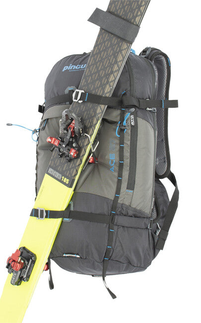 Pinguin Ace 27 Σακίδιο Πλάτης Nylon, 27 L, petrol