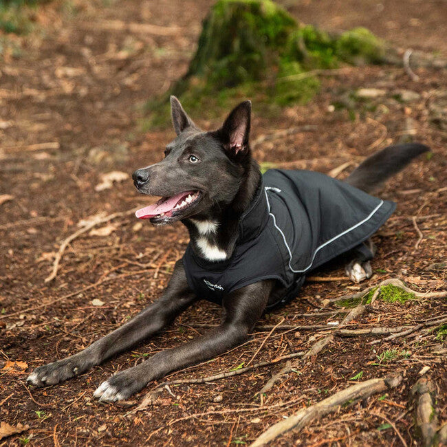 Mountain Paws Αδιάβροχο για Σκύλο, Μεγάλο