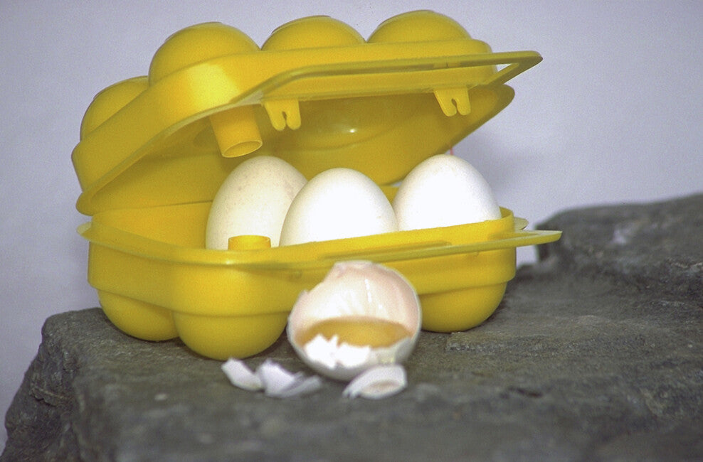 Coghlans CL Θήκη Αυγών, 6 Αυγά