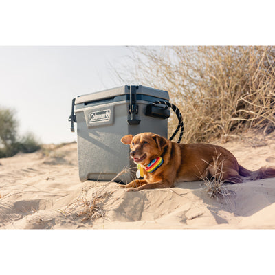 Coleman Convoy ψυγείο 28qt 29 L
