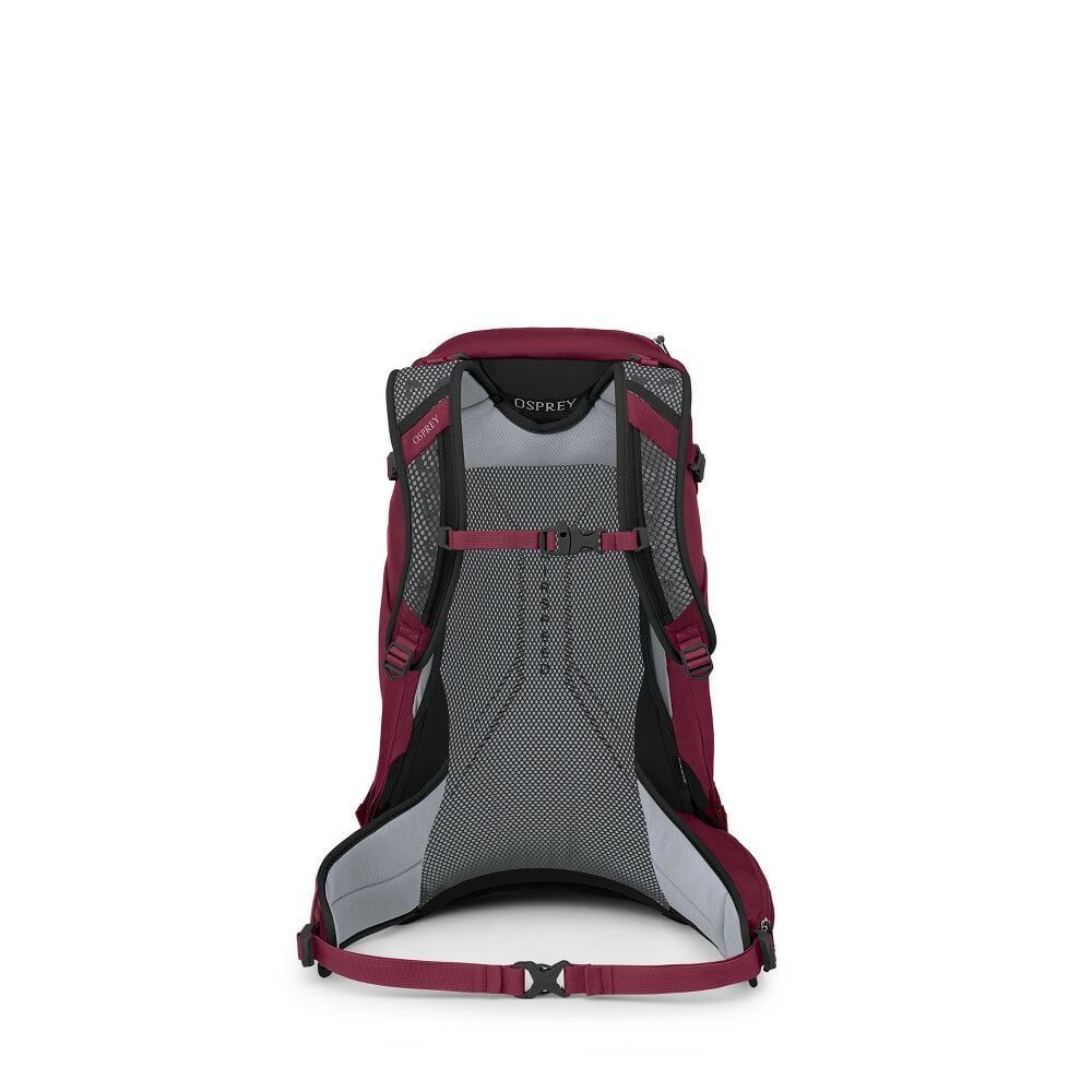 OSPREY HIKELITE 28 turistický batoh, chameleon/black, M/L