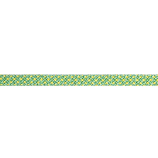 BEAL Stinger Unicore σχοινί αναρρίχησης 9,4 mm 60 m, anise