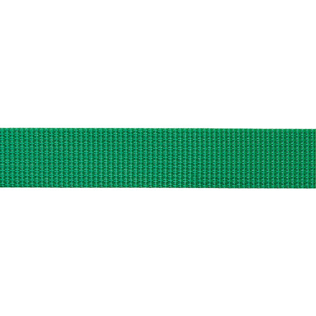BEAL Δακτύλιος για Ιμάντα Flat 100 m, Πράσινο