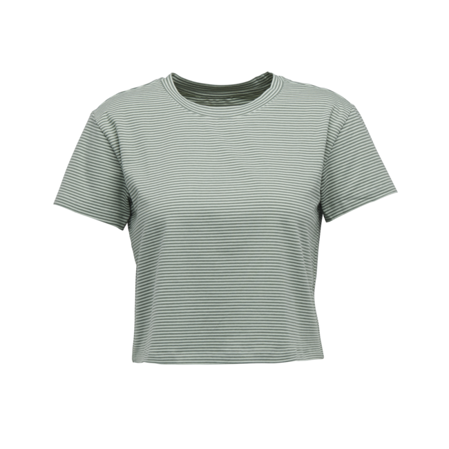 Black Diamond BD Stripe Μπλουζάκι Γυναικείο με Κοντό Μανίκι, Foam Green-Laurel Green