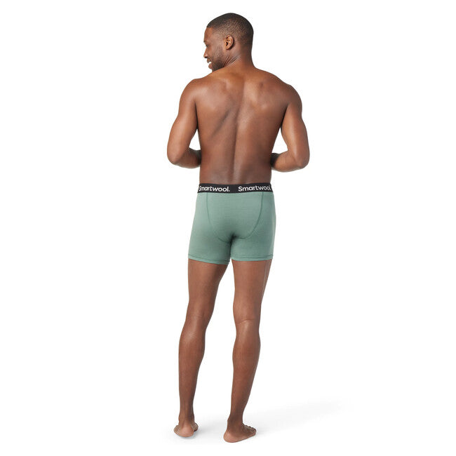 Smartwool M Merino Boxer Brief ανδρικό σορτσάκι, sage