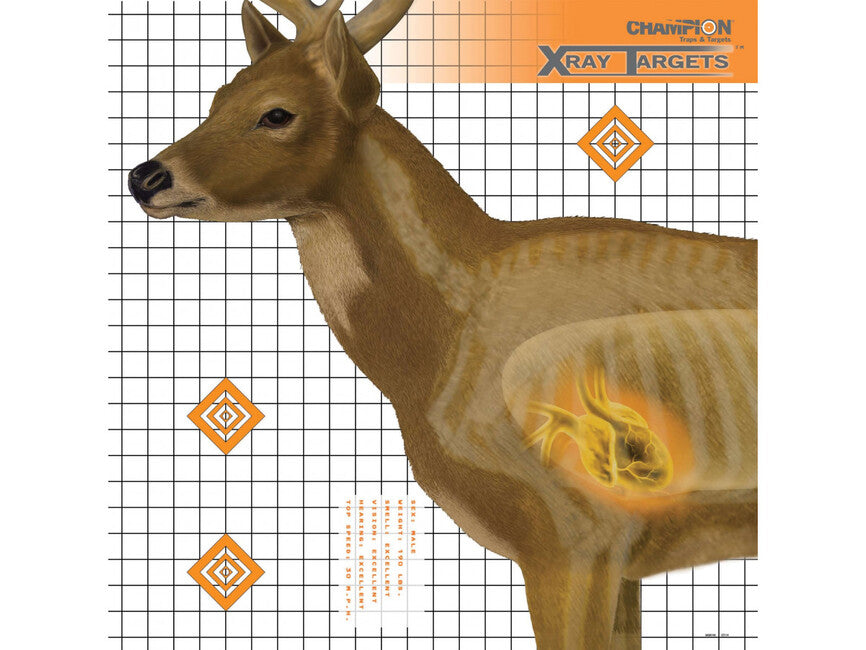 Champion Deer X-Ray στόχος, 6 τεμάχια