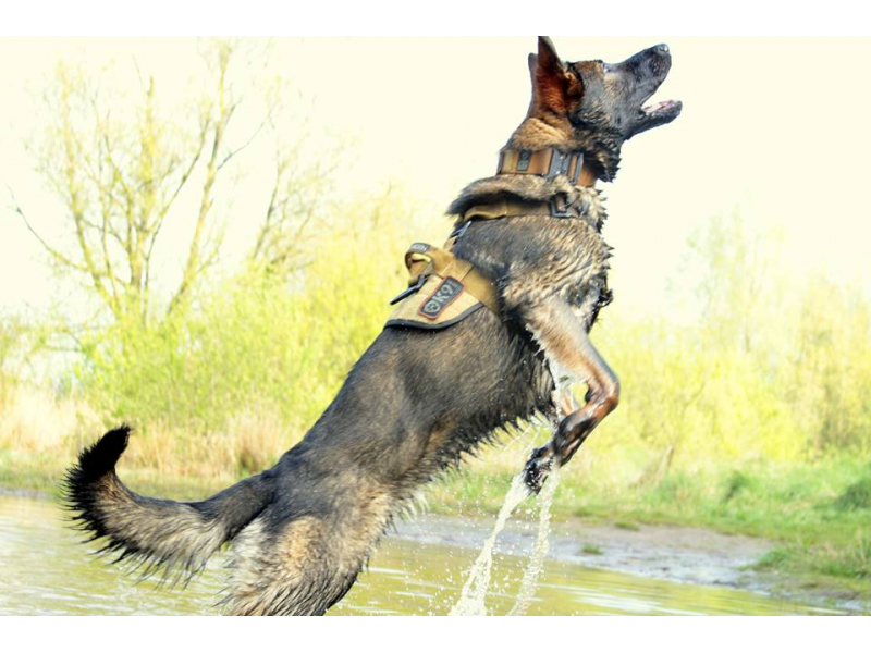 K9 Thorn Σαμάρι Delta, καφέ coyote