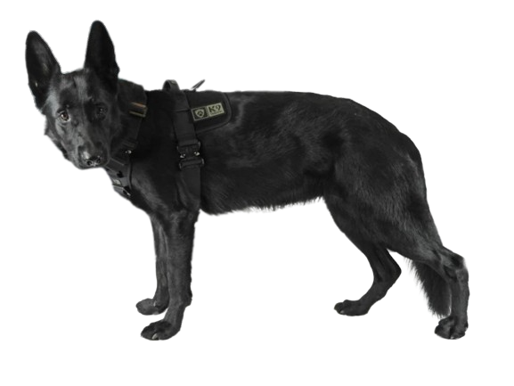 K9 Thorn Delta σαμάρι