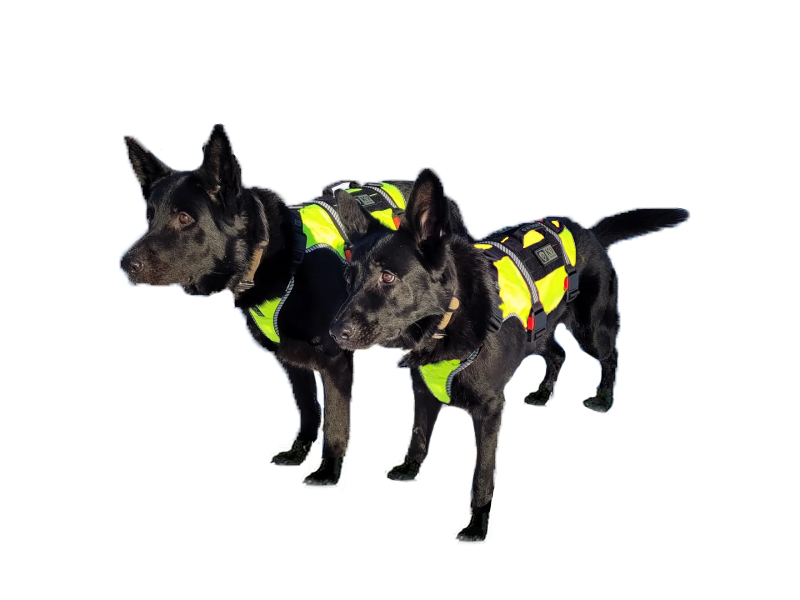 K9 Thorn Σαμαράκι ONE