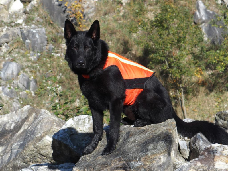 K9 Thorn αμάνικο γιλέκο με ανακλαστικές λωρίδες