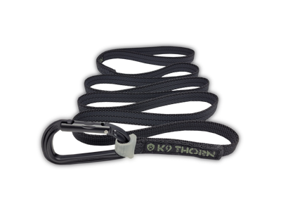 Οδηγοί Σκύλων
