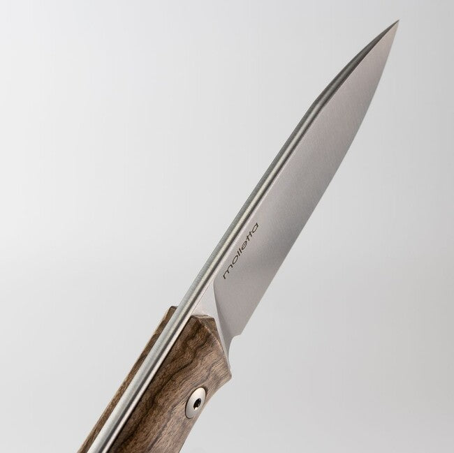Lionsteel B35 WN Μαχαίρι Bushcraft με Σταθερή Λάμα από Χάλυβα Sleipner