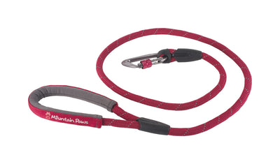 Dog Leads